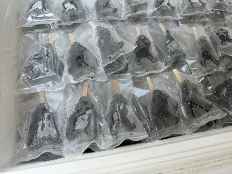 知名酒商冰棒（2）